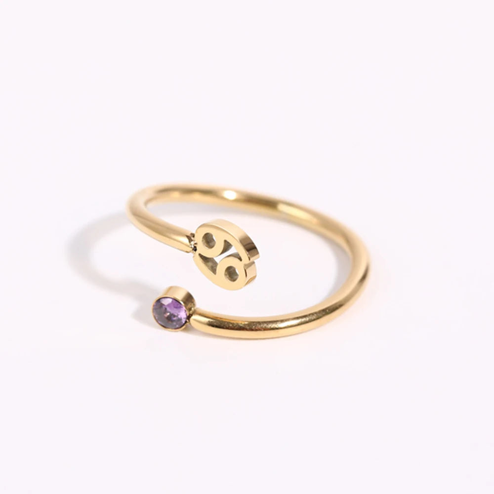 Zodiac Academy Birth Stone Zodiac Sign Rings