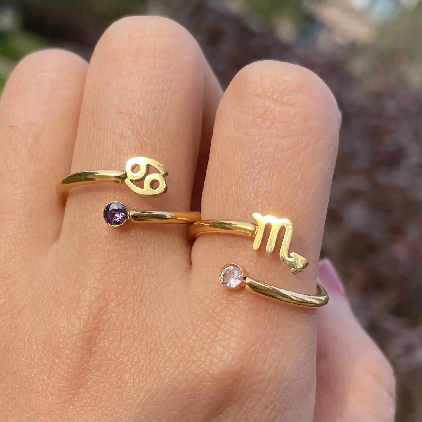 Zodiac Academy Birth Stone Zodiac Sign Rings